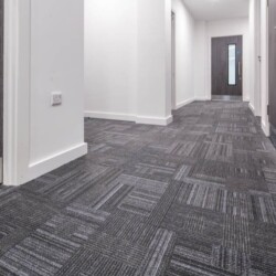 office cleaning carpet cleaning
